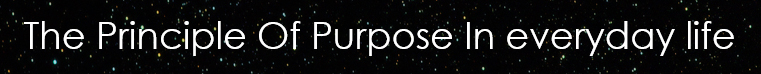 Principle Of Purpose Article
